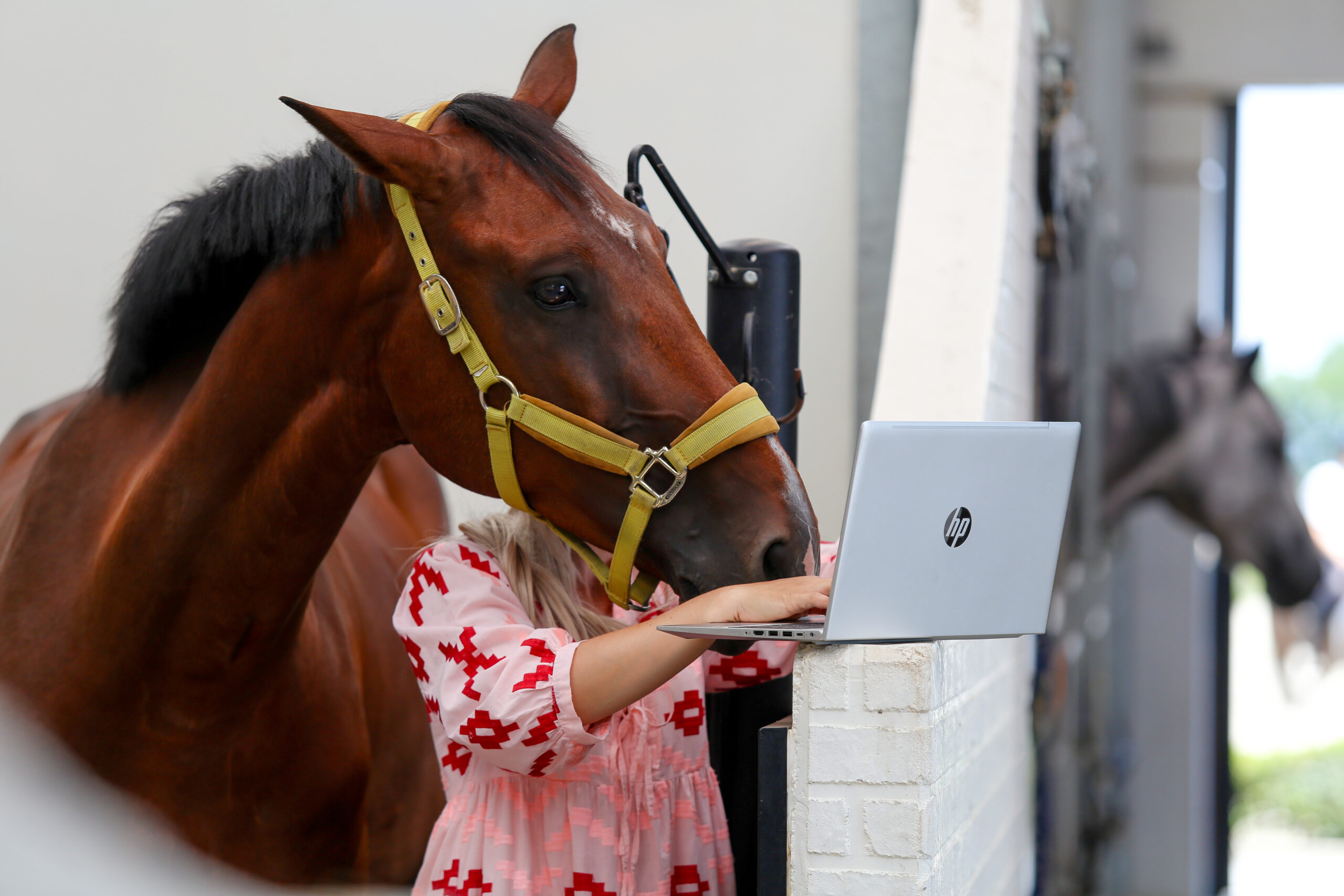 EquiG – Hippische administratie en creatieve diensten